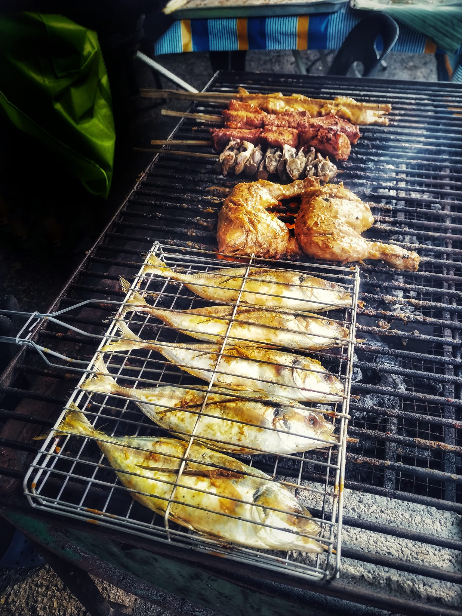 Fish and chicken pieces on a grill